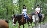 Guided Trail Rides - Willow Grove Farm & Stables