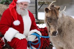 Christmas-with-Clydesdale